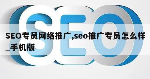 SEO专员网络推广,seo推广专员怎么样_手机版