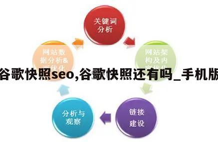 谷歌快照seo,谷歌快照还有吗_手机版