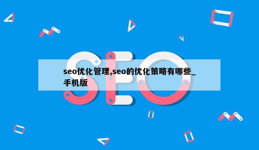 seo优化管理