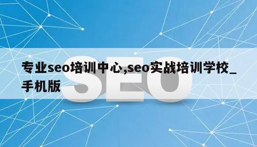 专业seo培训中心,seo实战培训学校_手机版