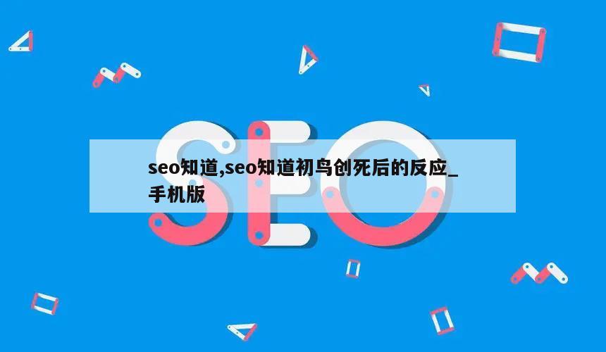 seo知道,seo知道初鸟创死后的反应_手机版