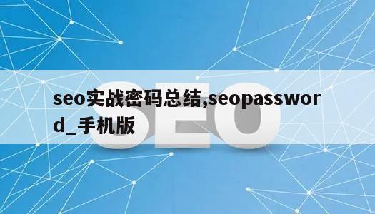 seo实战密码总结