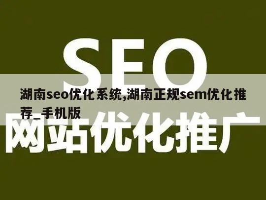 湖南seo优化系统,湖南正规sem优化推荐_手机版