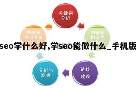 seo学什么好,学seo能做什么_手机版