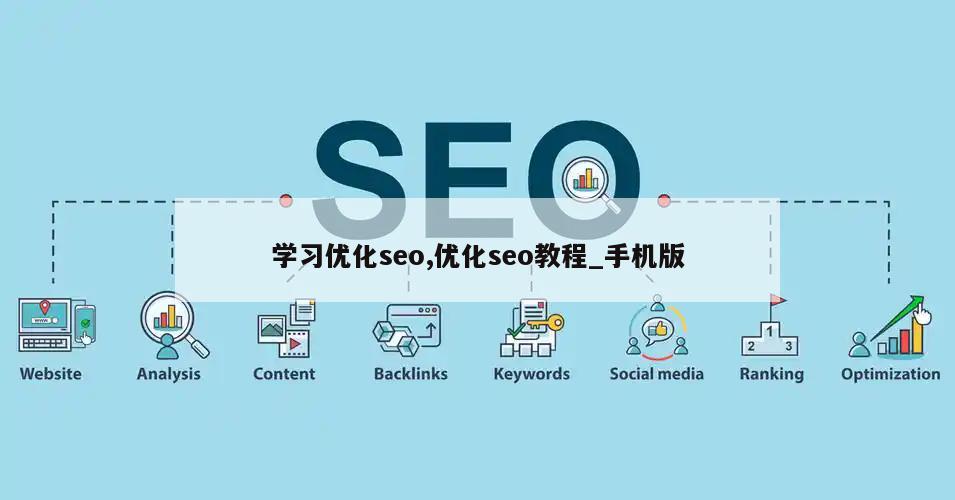 学习优化seo,优化seo教程_手机版