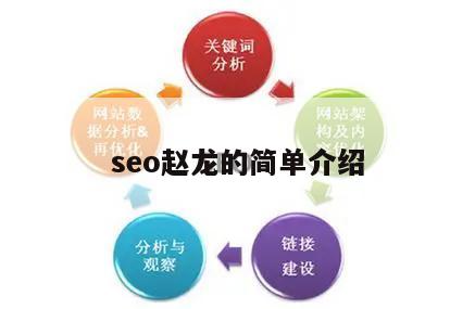 seo赵龙的简单介绍