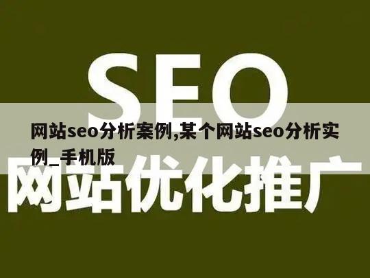 网站seo分析案例,某个网站seo分析实例_手机版