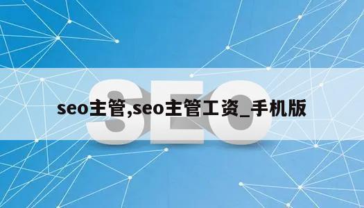 seo主管,seo主管工资_手机版