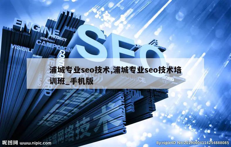 浦城专业seo技术,浦城专业seo技术培训班_手机版