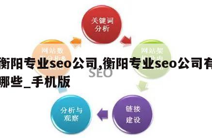 衡阳专业seo公司,衡阳专业seo公司有哪些_手机版