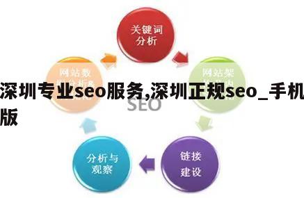 深圳专业seo服务,深圳正规seo_手机版