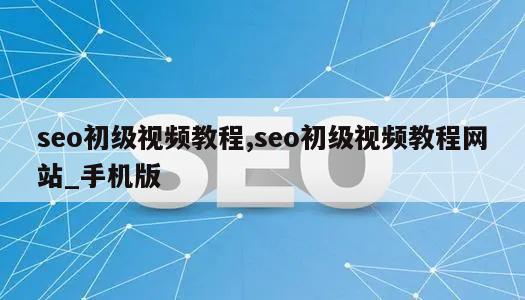 seo初级视频教程,seo初级视频教程网站_手机版