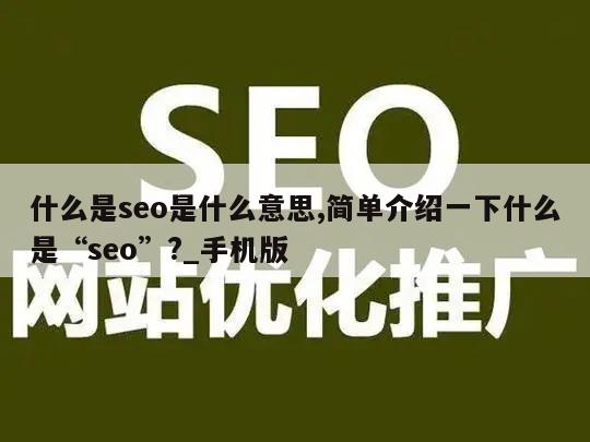 什么是seo是什么意思,简单介绍一下什么是“seo”?_手机版