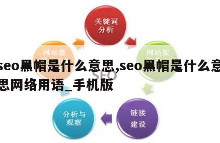 seo黑帽是什么意思