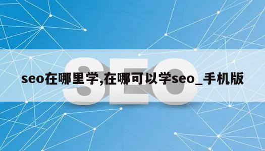 seo在哪里学,在哪可以学seo_手机版