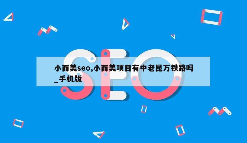 小而美seo,小而美项目有中老昆万铁路吗_手机版