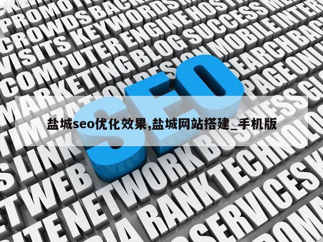 盐城seo优化效果,盐城网站搭建_手机版