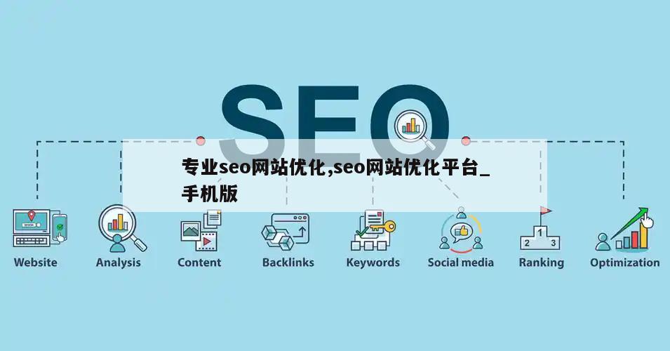 专业seo网站优化,seo网站优化平台_手机版