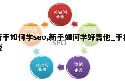 新手如何学seo,新手如何学好吉他_手机版