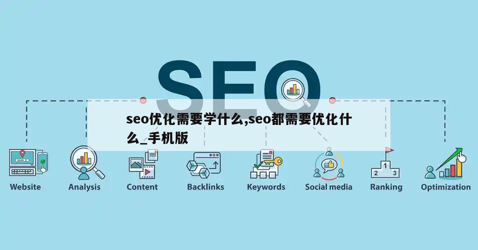 seo优化需要学什么,seo都需要优化什么_手机版