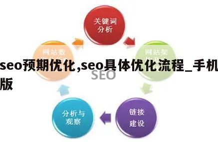 seo预期优化,seo具体优化流程_手机版