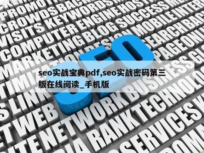 seo实战宝典pdf,seo实战密码第三版在线阅读_手机版