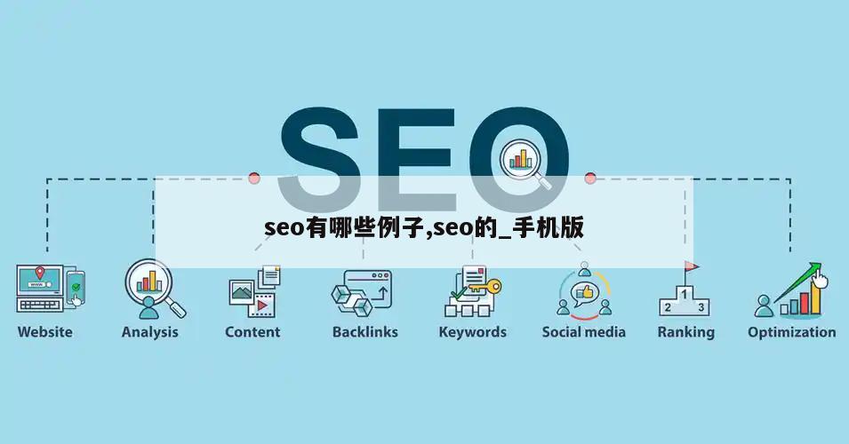 seo有哪些例子,seo的_手机版