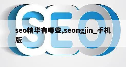 seo精华有哪些,seongjin_手机版