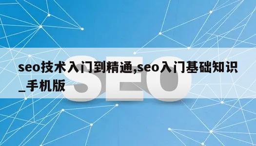 seo技术入门到精通,seo入门基础知识_手机版