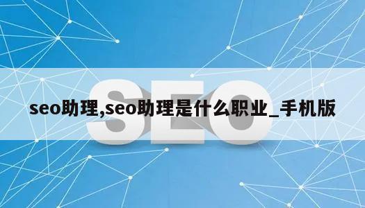 seo助理,seo助理是什么职业_手机版