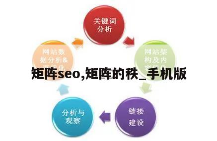 矩阵seo,矩阵的秩_手机版