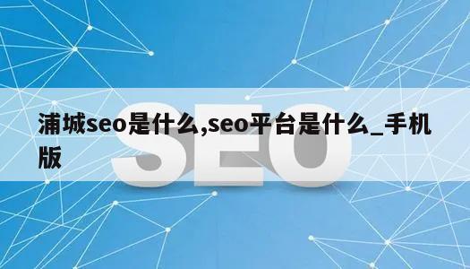 浦城seo是什么,seo平台是什么_手机版