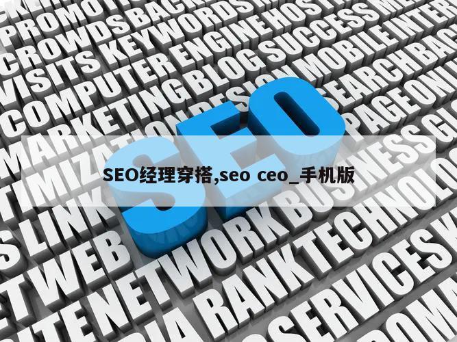 SEO经理穿搭,seo ceo_手机版