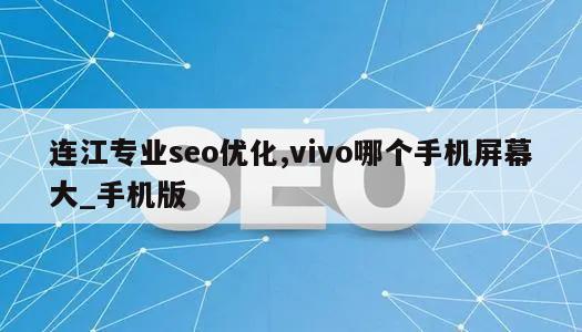 连江专业seo优化,vivo哪个手机屏幕大_手机版