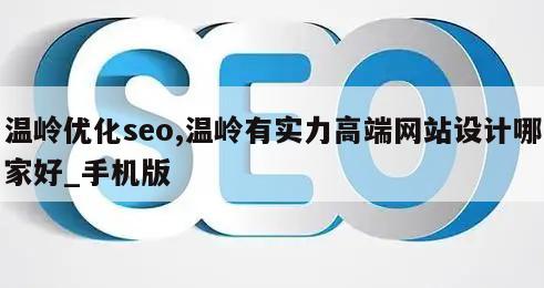 温岭优化seo,温岭有实力高端网站设计哪家好_手机版