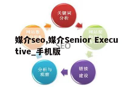 媒介seo,媒介Senior Executive_手机版