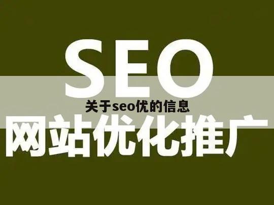 关于seo优的信息