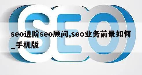 seo进阶seo顾问,seo业务前景如何_手机版