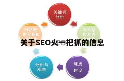 关于SEO火一把抓的信息