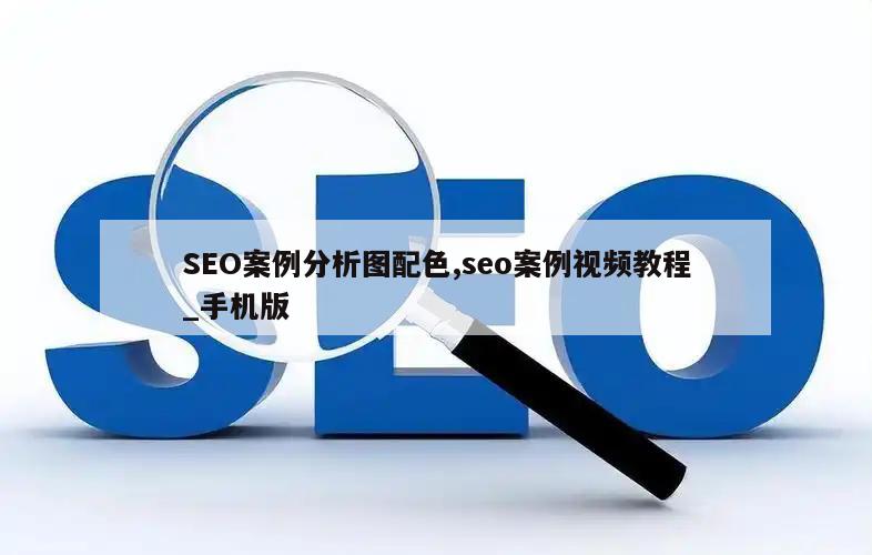 SEO案例分析图配色,seo案例视频教程_手机版