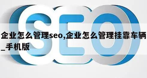 企业怎么管理seo,企业怎么管理挂靠车辆_手机版