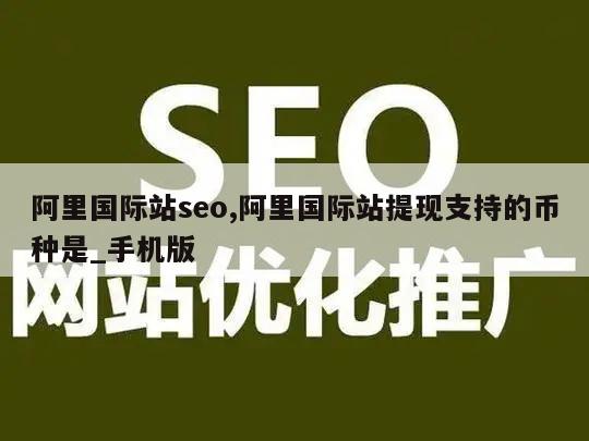 阿里国际站seo,阿里国际站提现支持的币种是_手机版