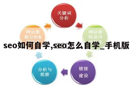 seo如何自学,seo怎么自学_手机版