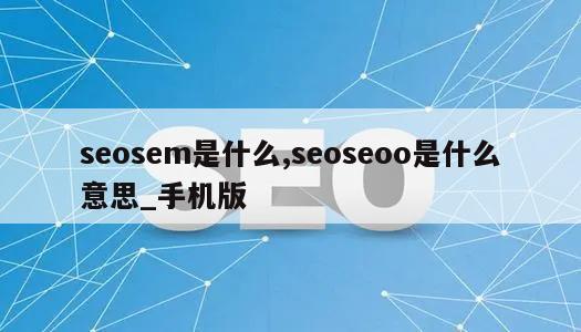 seosem是什么,seoseoo是什么意思_手机版