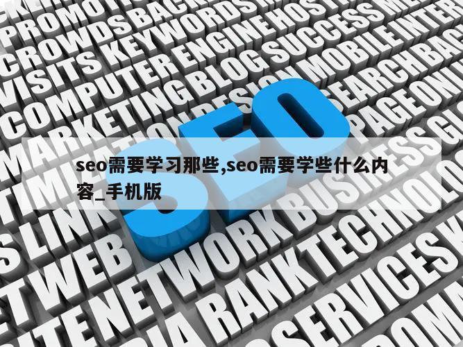 seo需要学习那些,seo需要学些什么内容_手机版