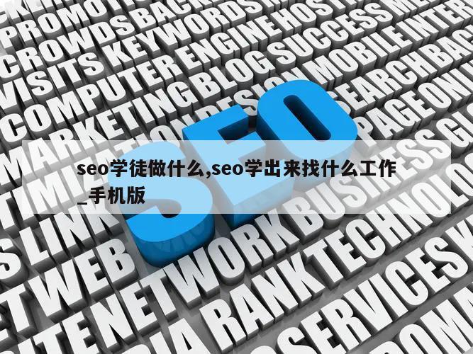 seo学徒做什么,seo学出来找什么工作_手机版