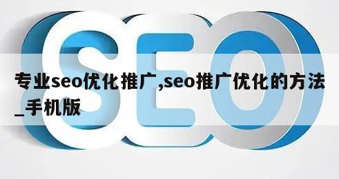 专业seo优化推广,seo推广优化的方法_手机版