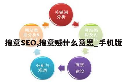 搜意SEO,搜意贼什么意思_手机版