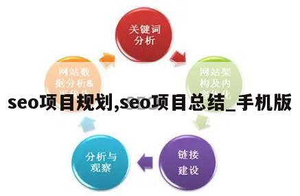 seo项目规划,seo项目总结_手机版