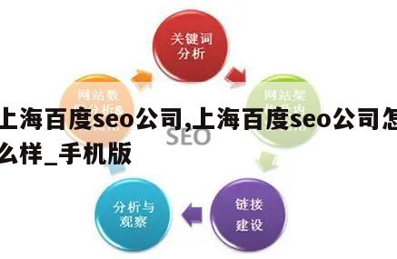 上海百度seo公司,上海百度seo公司怎么样_手机版